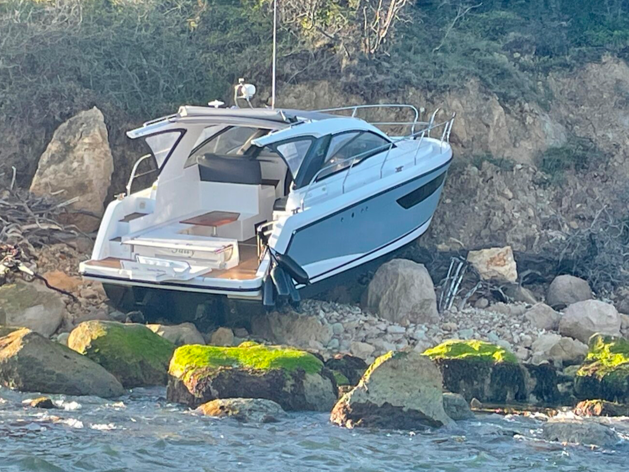 Expert Witness & Advisor