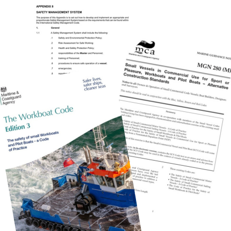 Expert Witness & Advisor